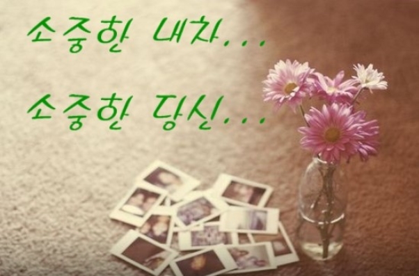 계양중고차매매단지 대표 이미지