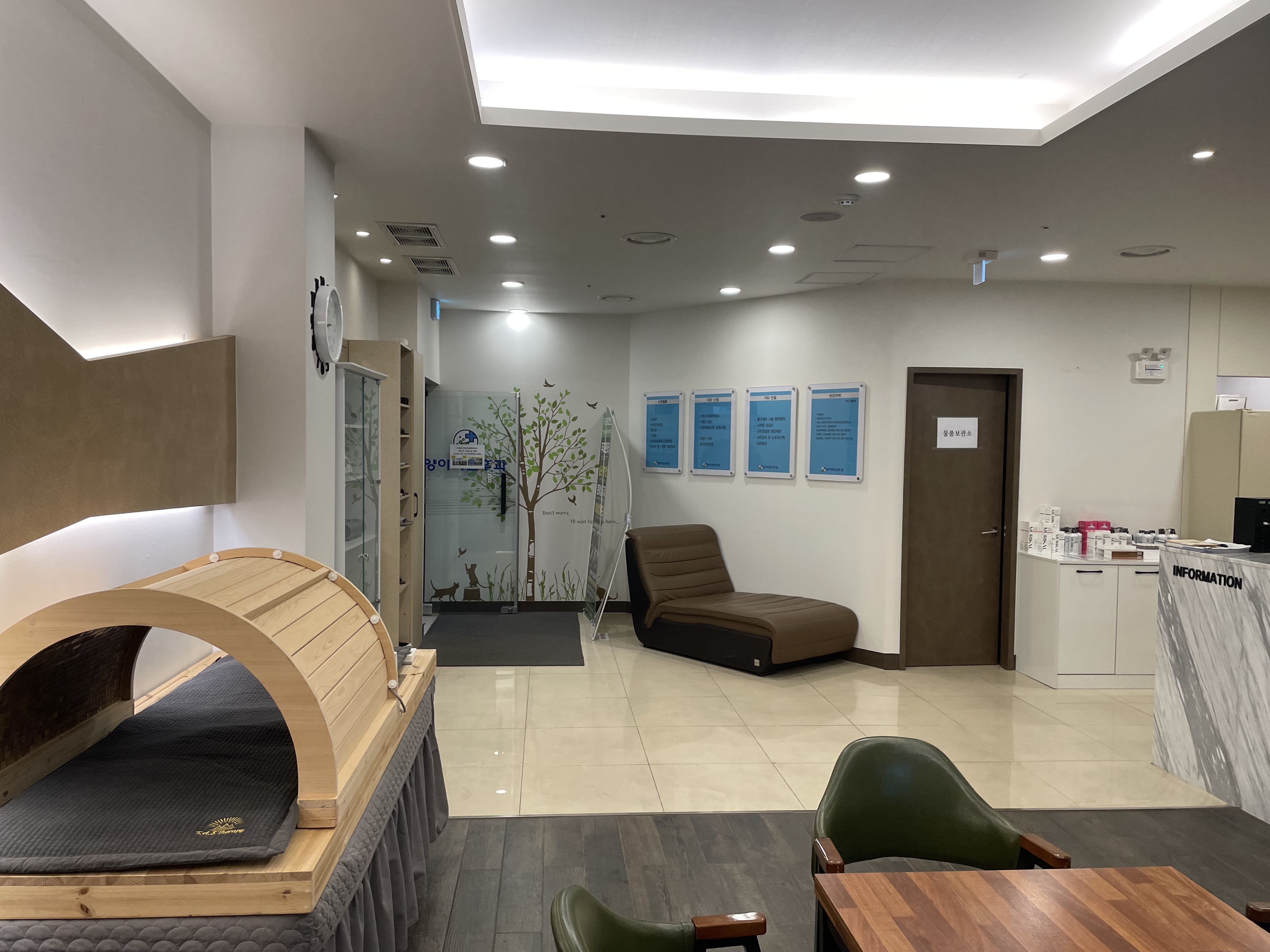 양이비인후과의원 대표 이미지