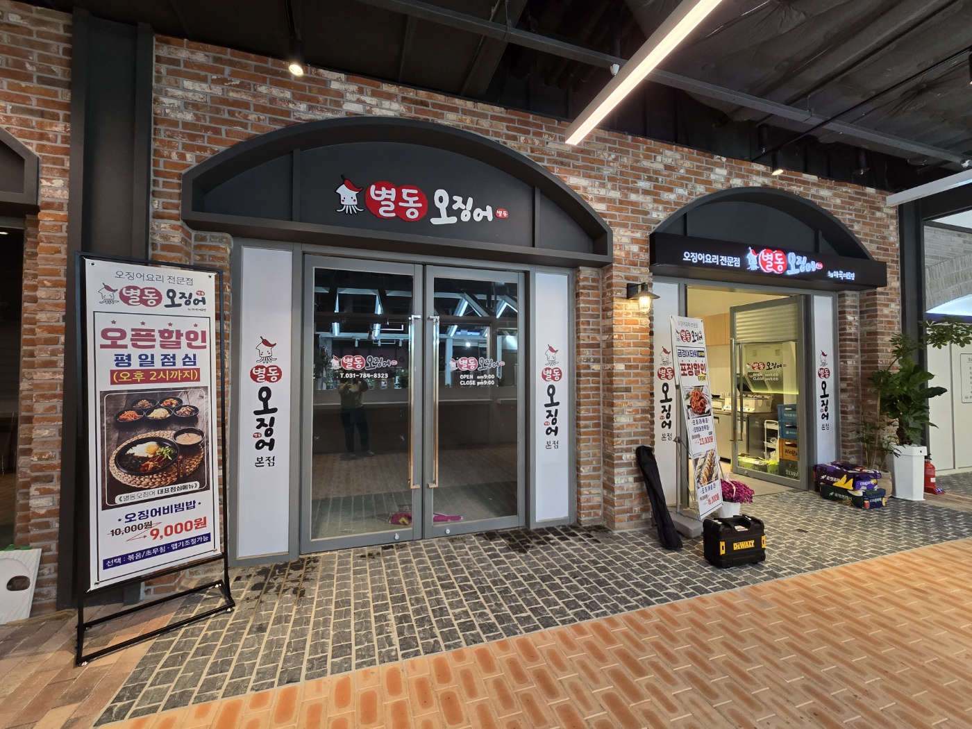 별동오징어