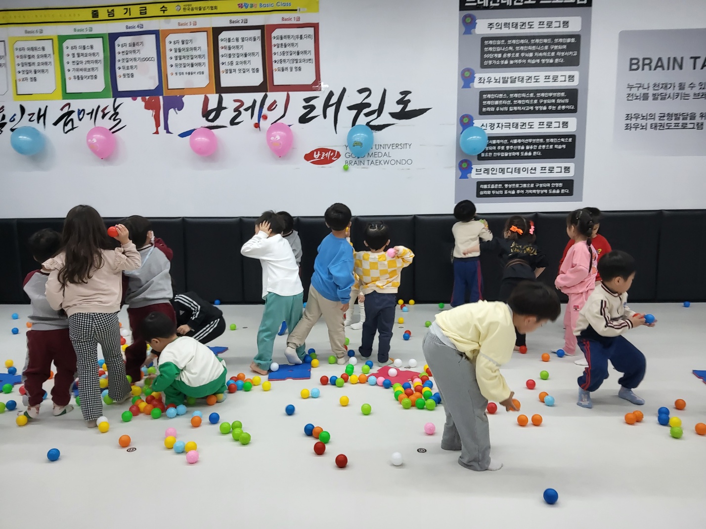 용인대브레인태권도