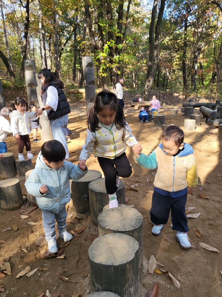 푸른숲어린이집