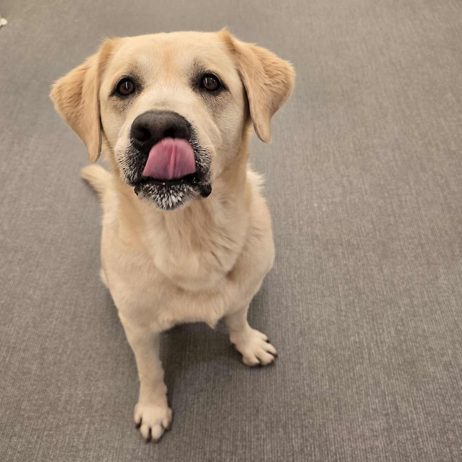 조이네집 대표 이미지