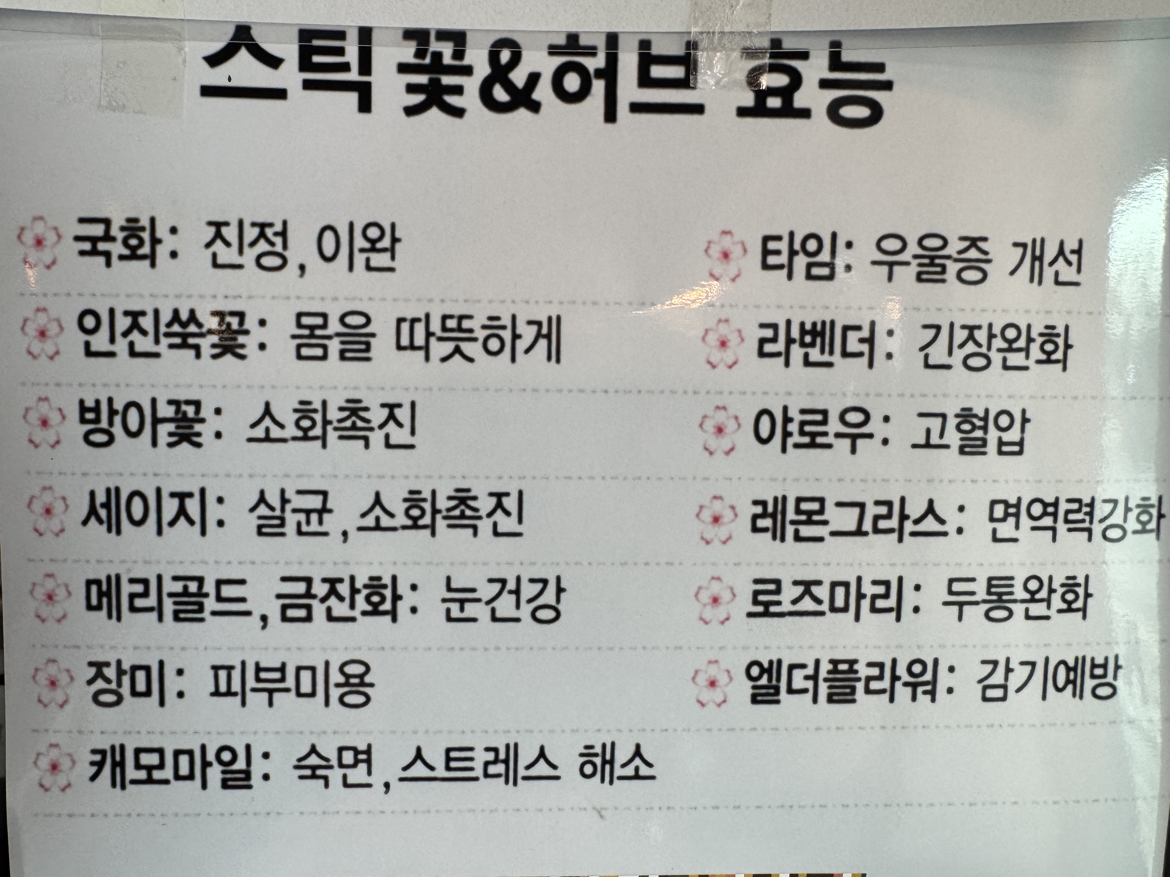 카페 보그너