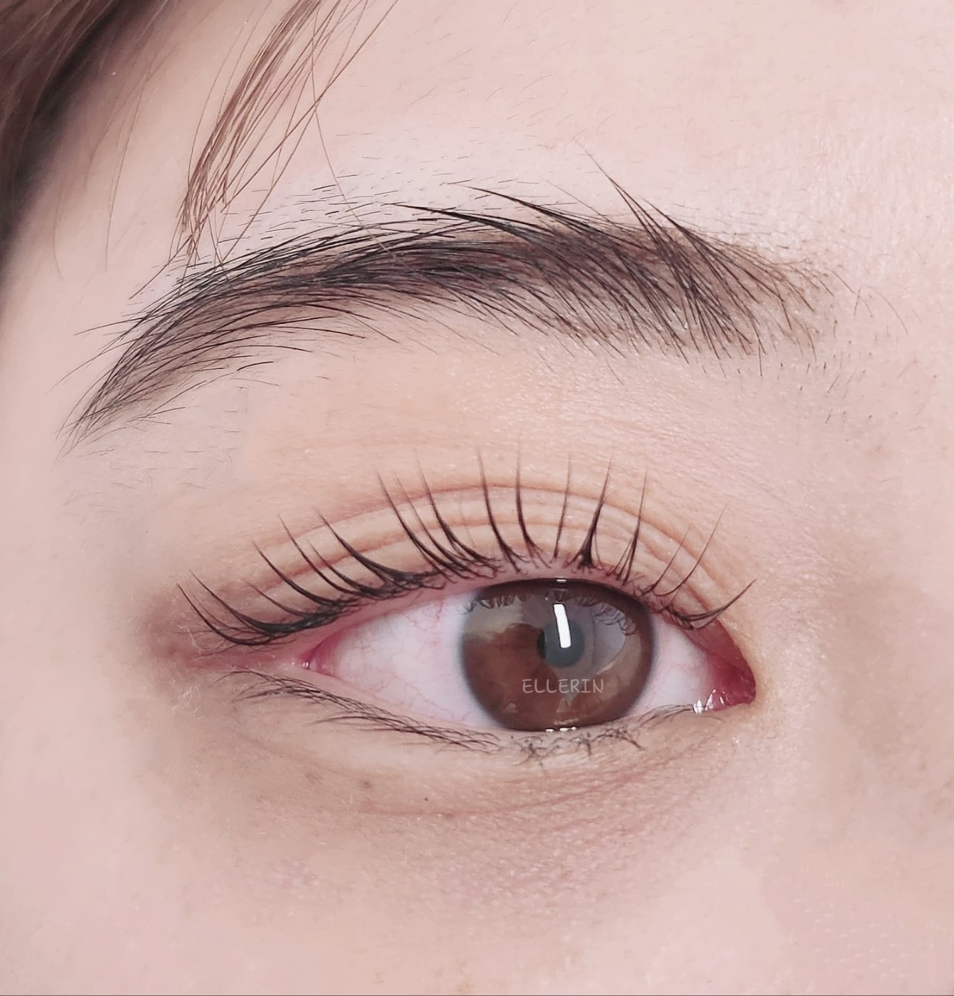 엘르린 대표 이미지