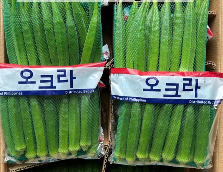아시안마트