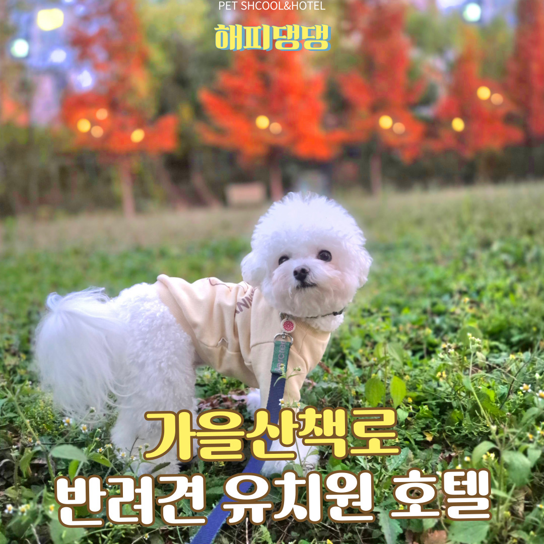 해피댕댕페인팅 대표 이미지