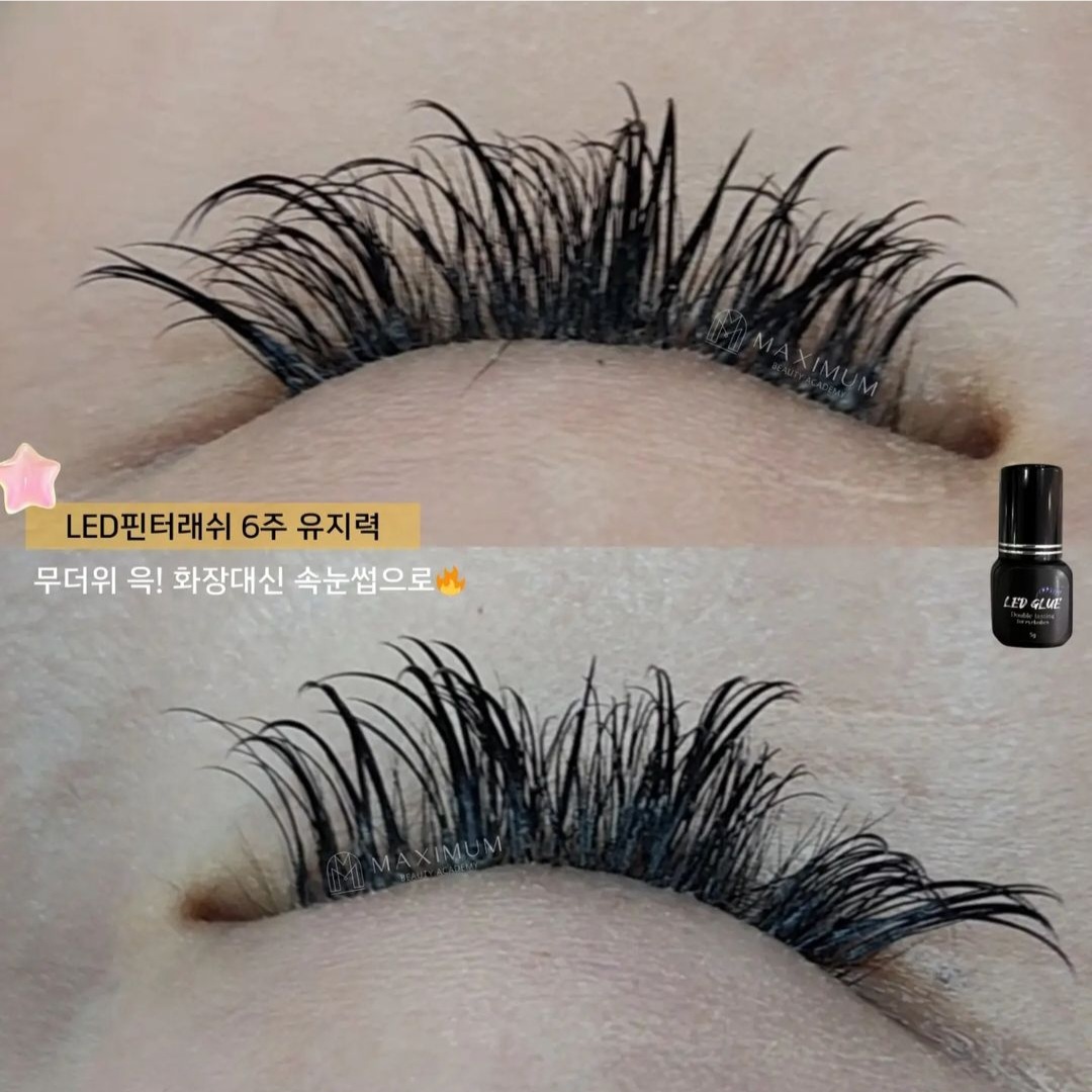 맥시멈래쉬 LED속눈썹&왁싱&브로우바 강남점