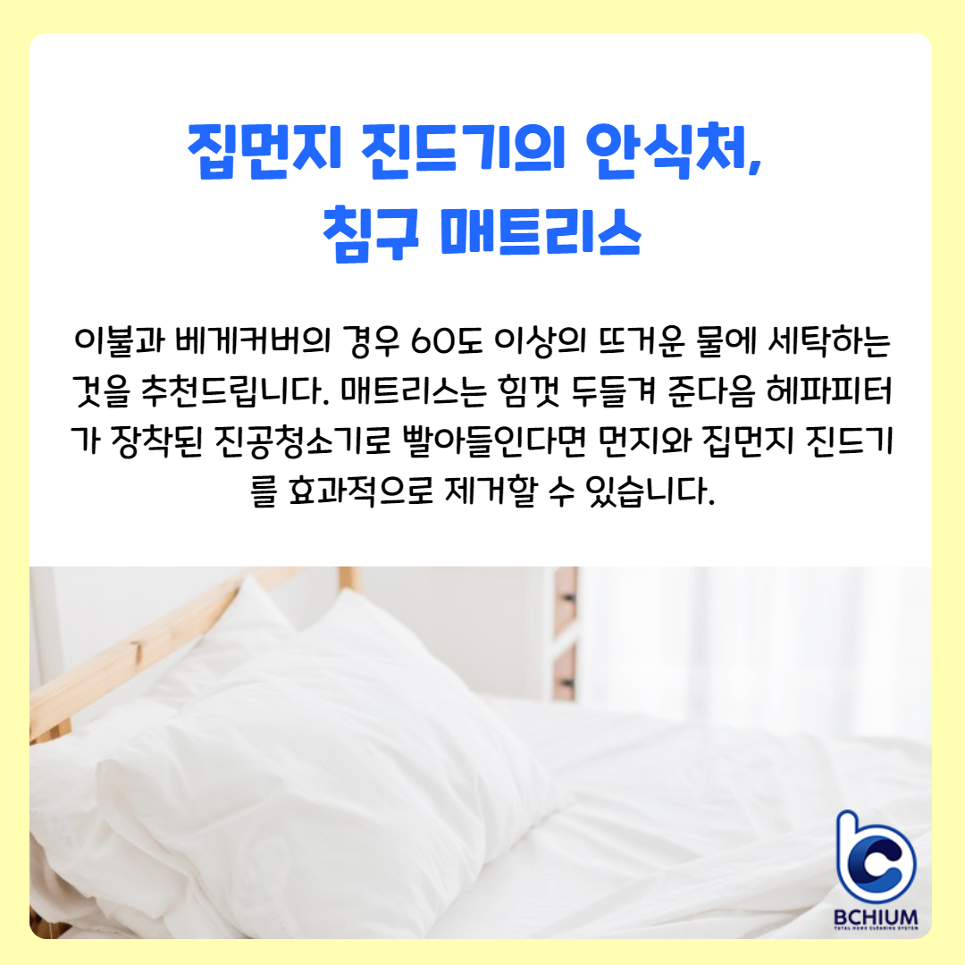 비홈비치움 서구점 대표 이미지
