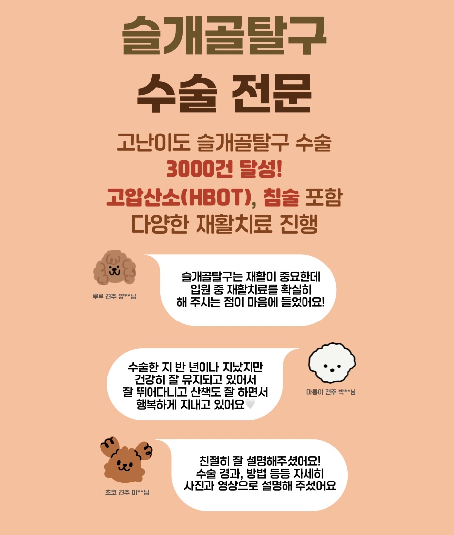 스카이동물의료센터 대표 이미지