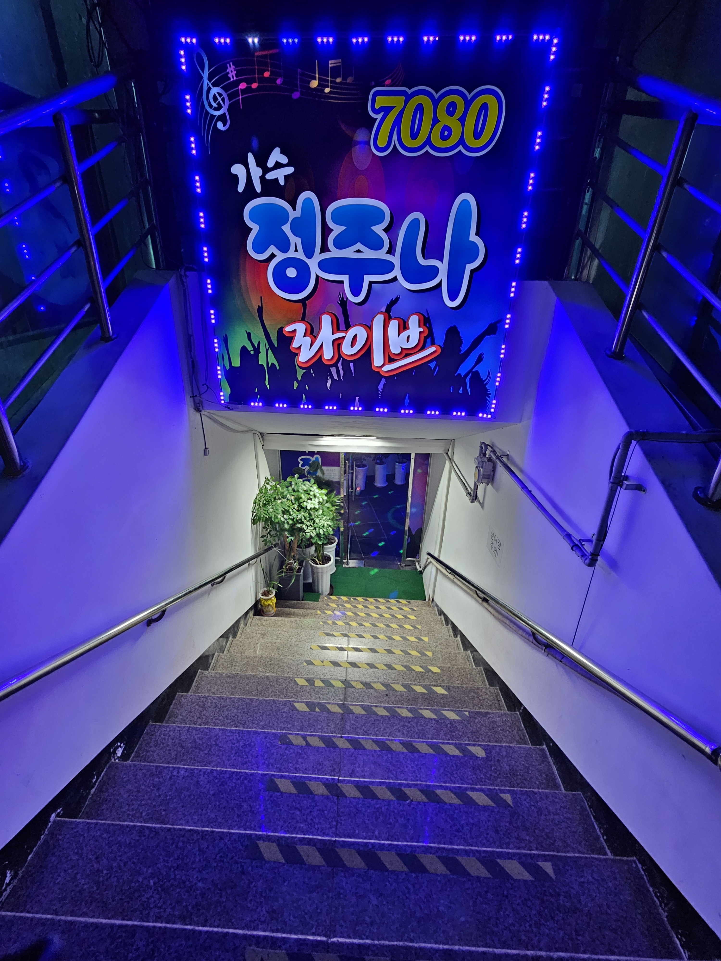 가수정주나라이브