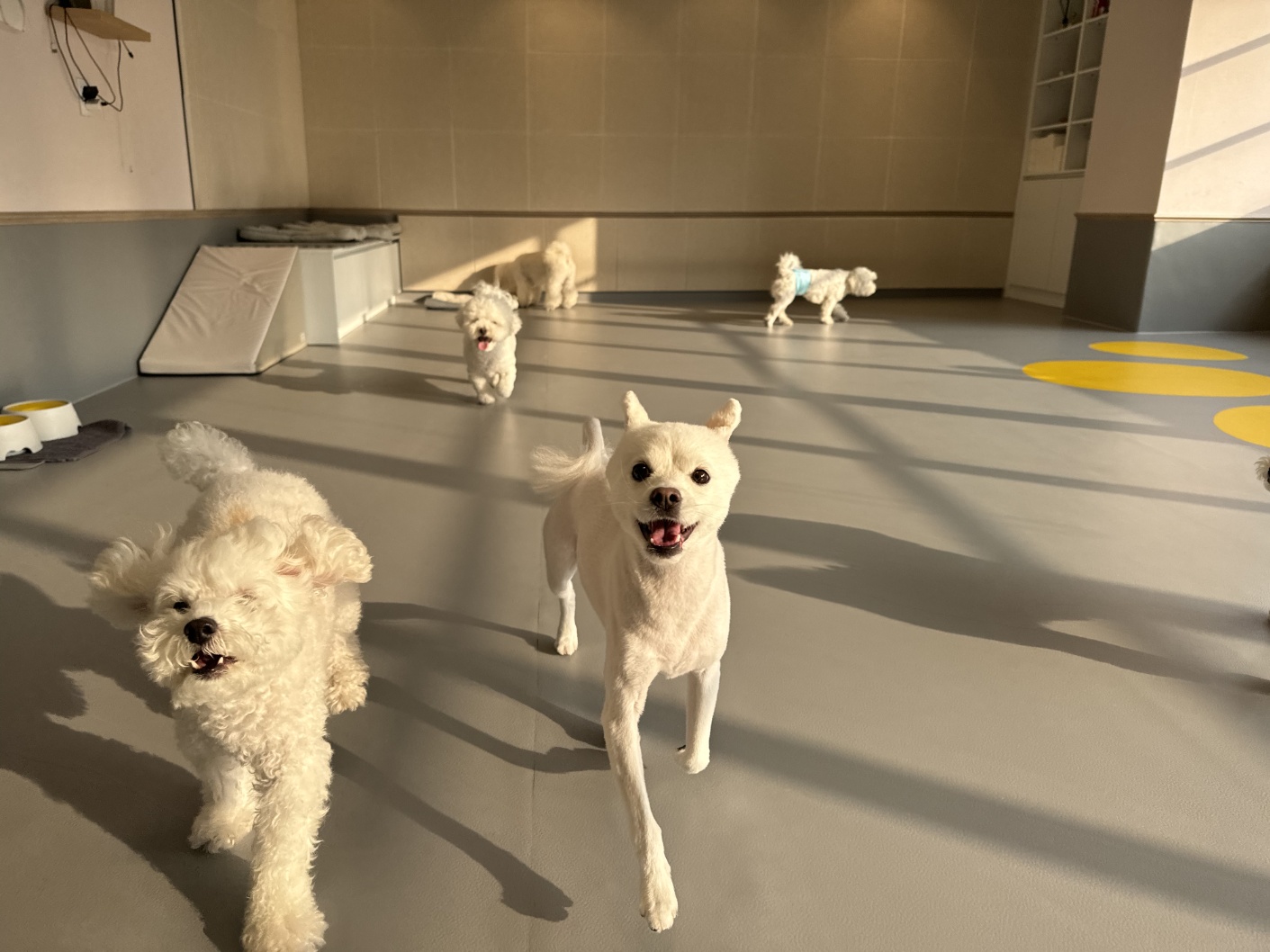 옐레드 안산고잔점 대표 이미지