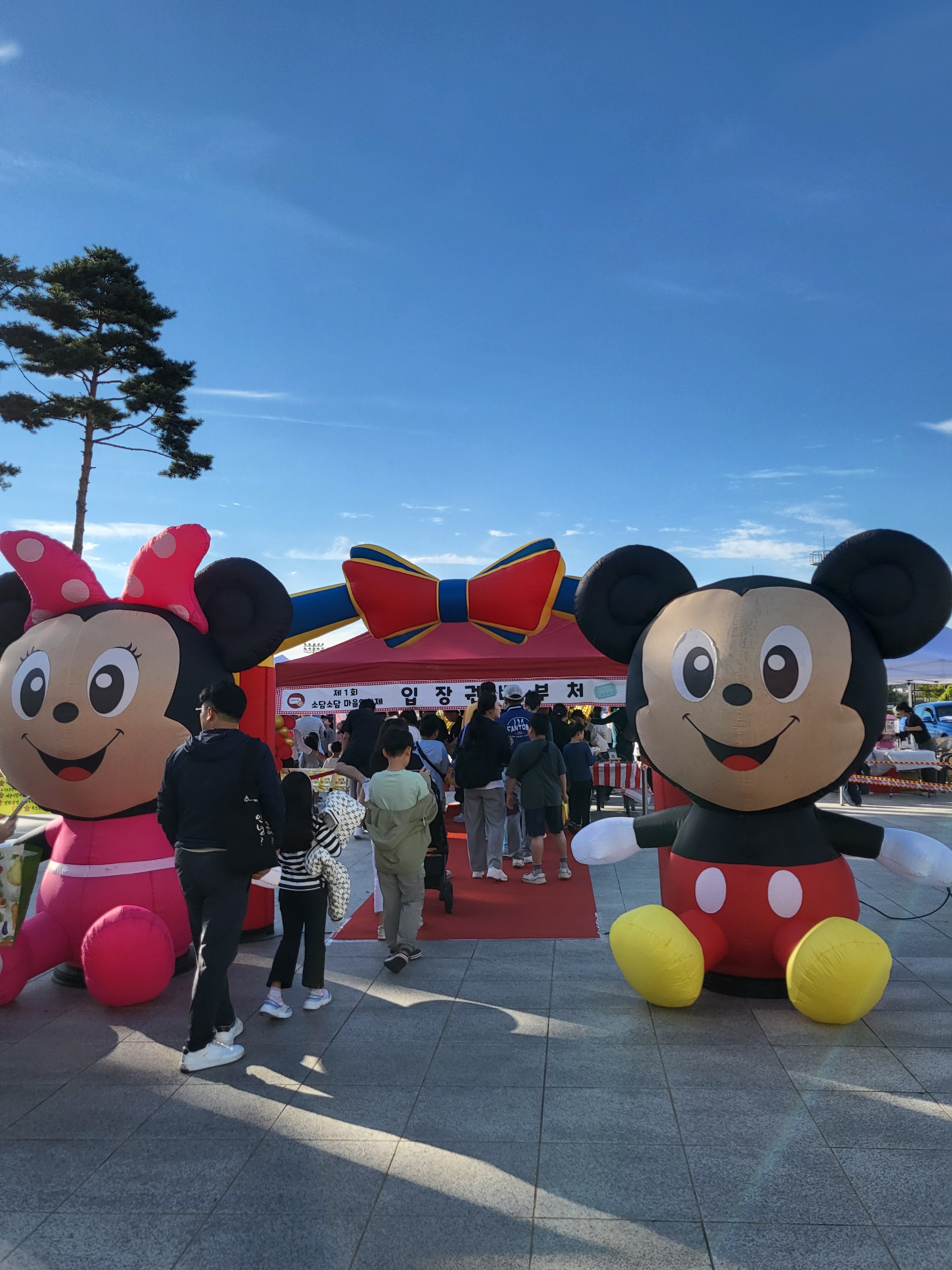 코놀디 기획