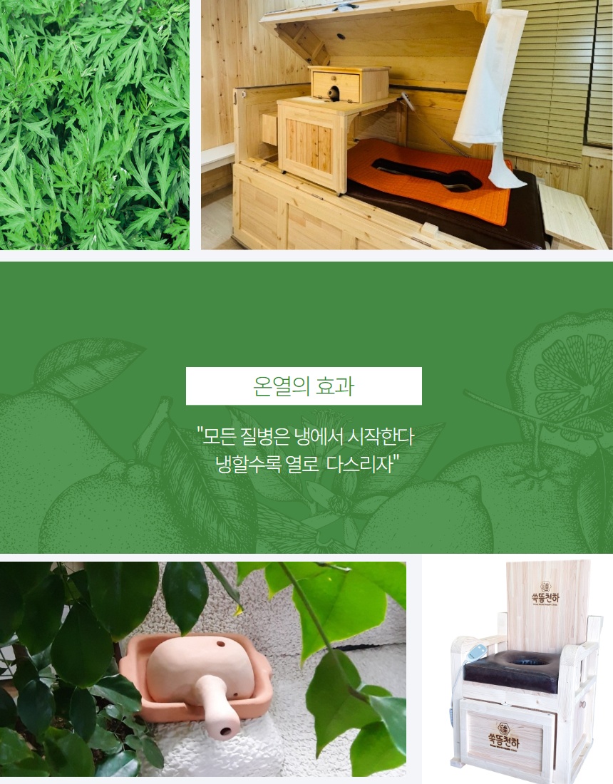 쑥뜸천하