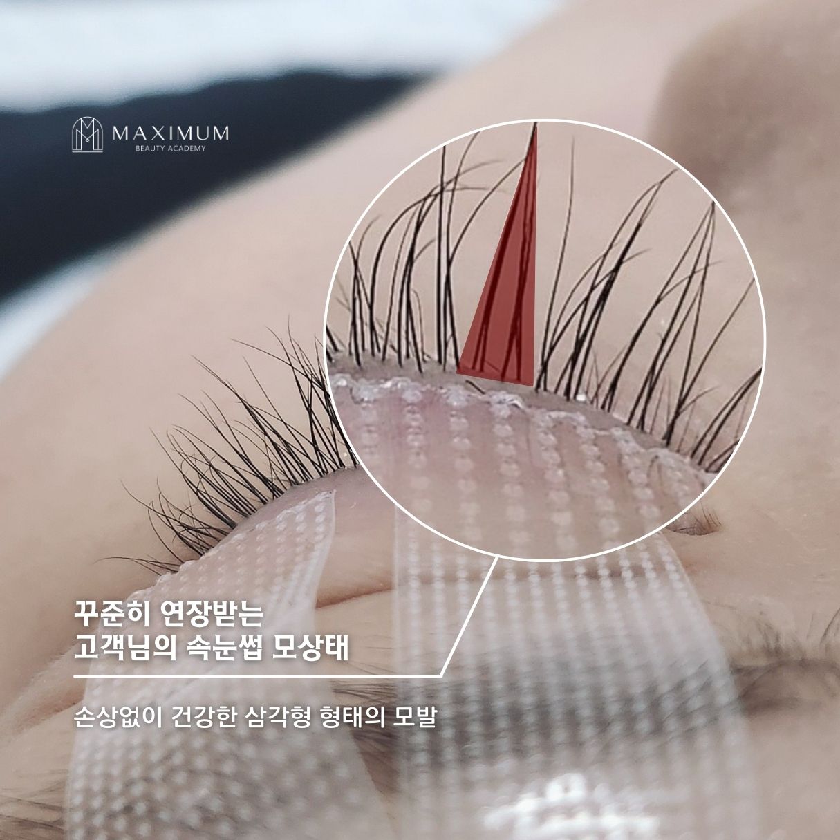 맥시멈래쉬 LED속눈썹&왁싱&브로우바 강남점
