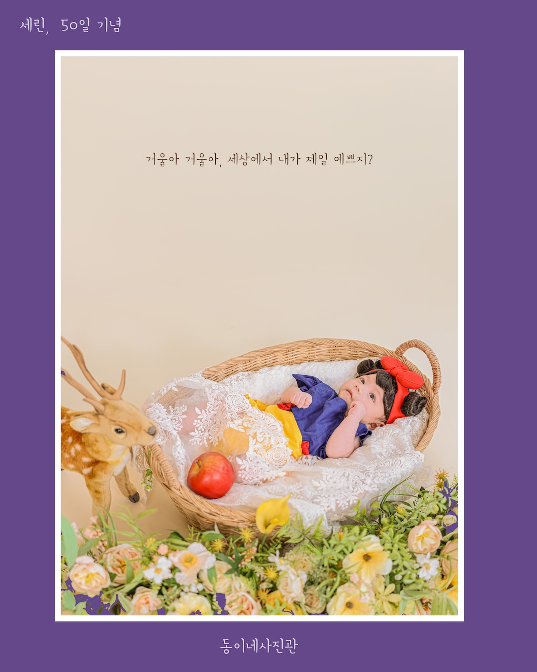 동이네사진관