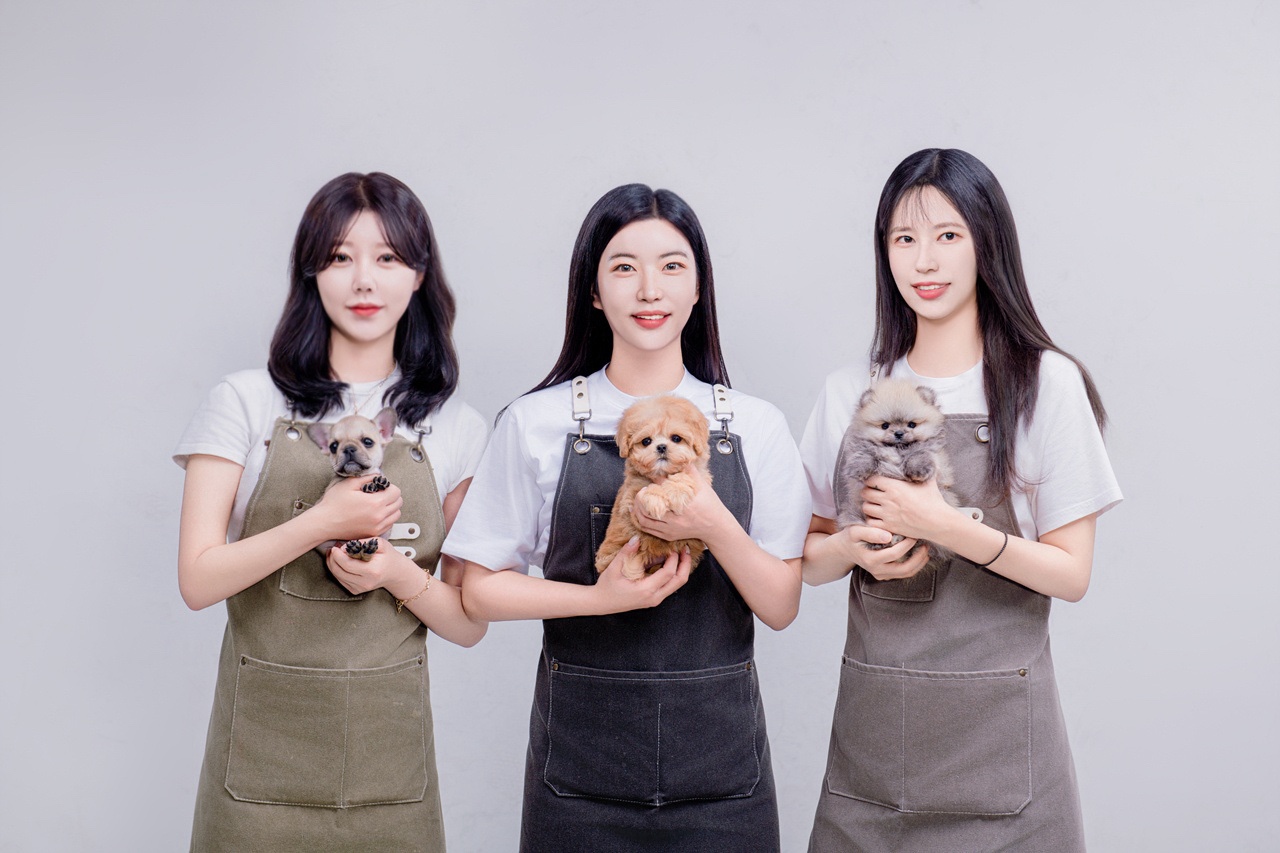 버디독 강아지분양 고양이분양 안심분양센터 인천점
