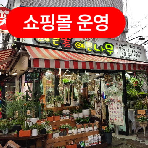예쁜꽃예쁜나무
