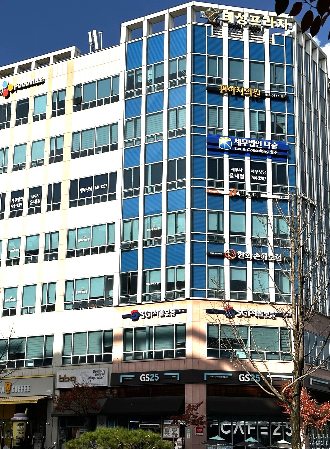 세무법인다솔티앤씨 원주 대표 이미지