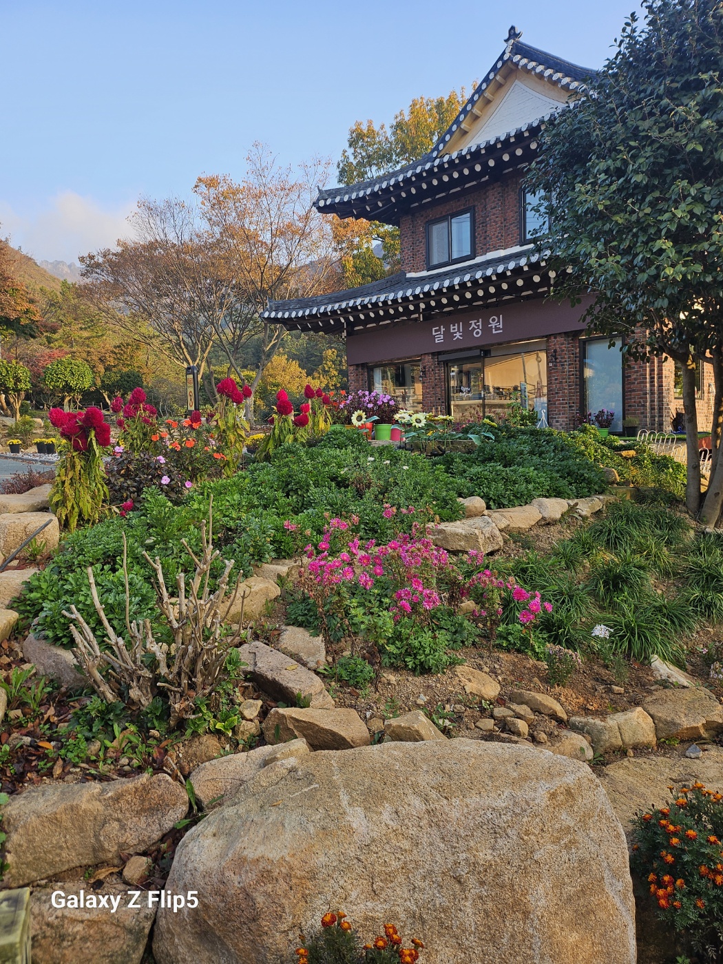 카페 달빛정원 설명사진