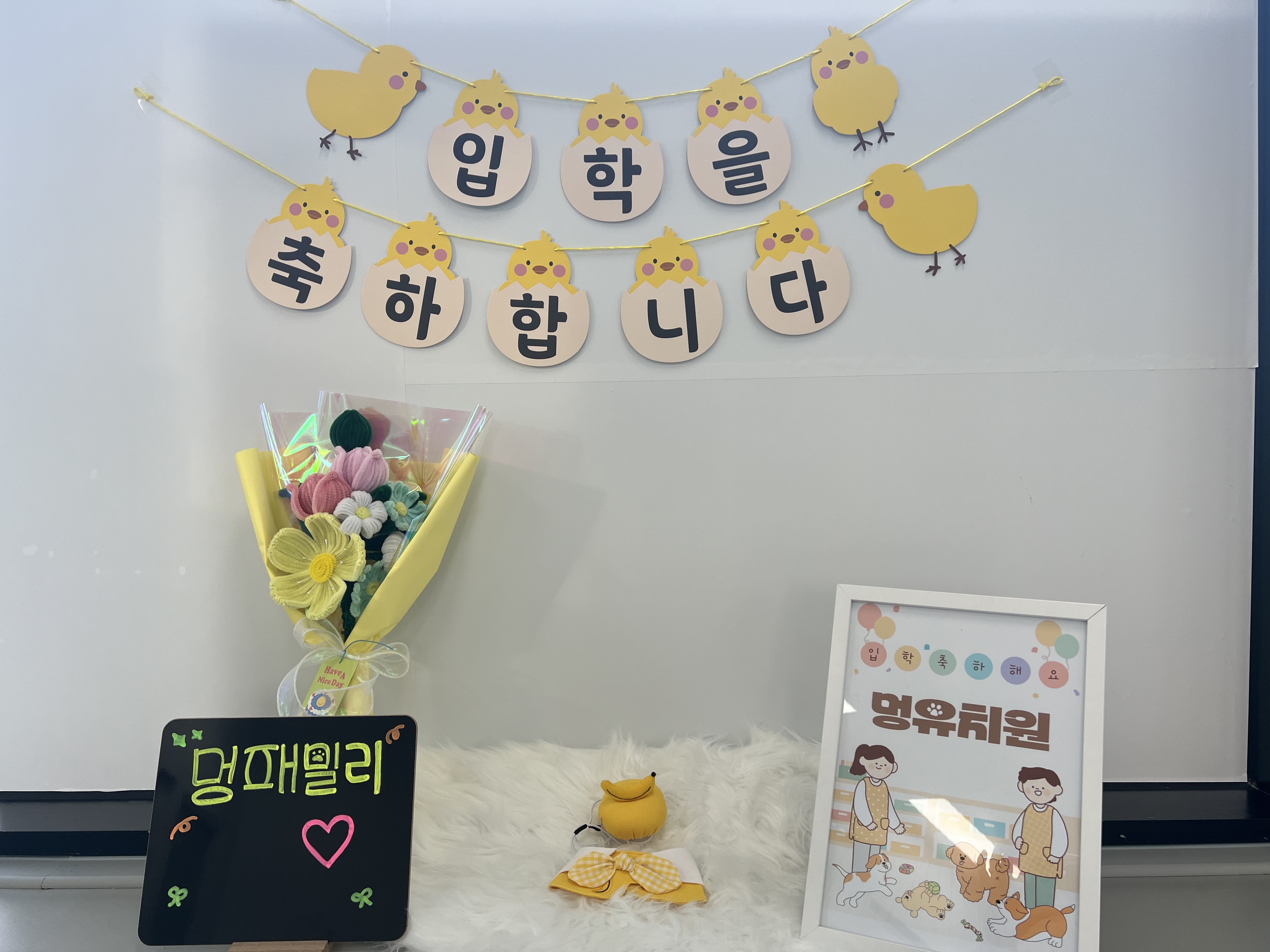 멍패밀리 인천애견유치원 애견호텔 대표 이미지