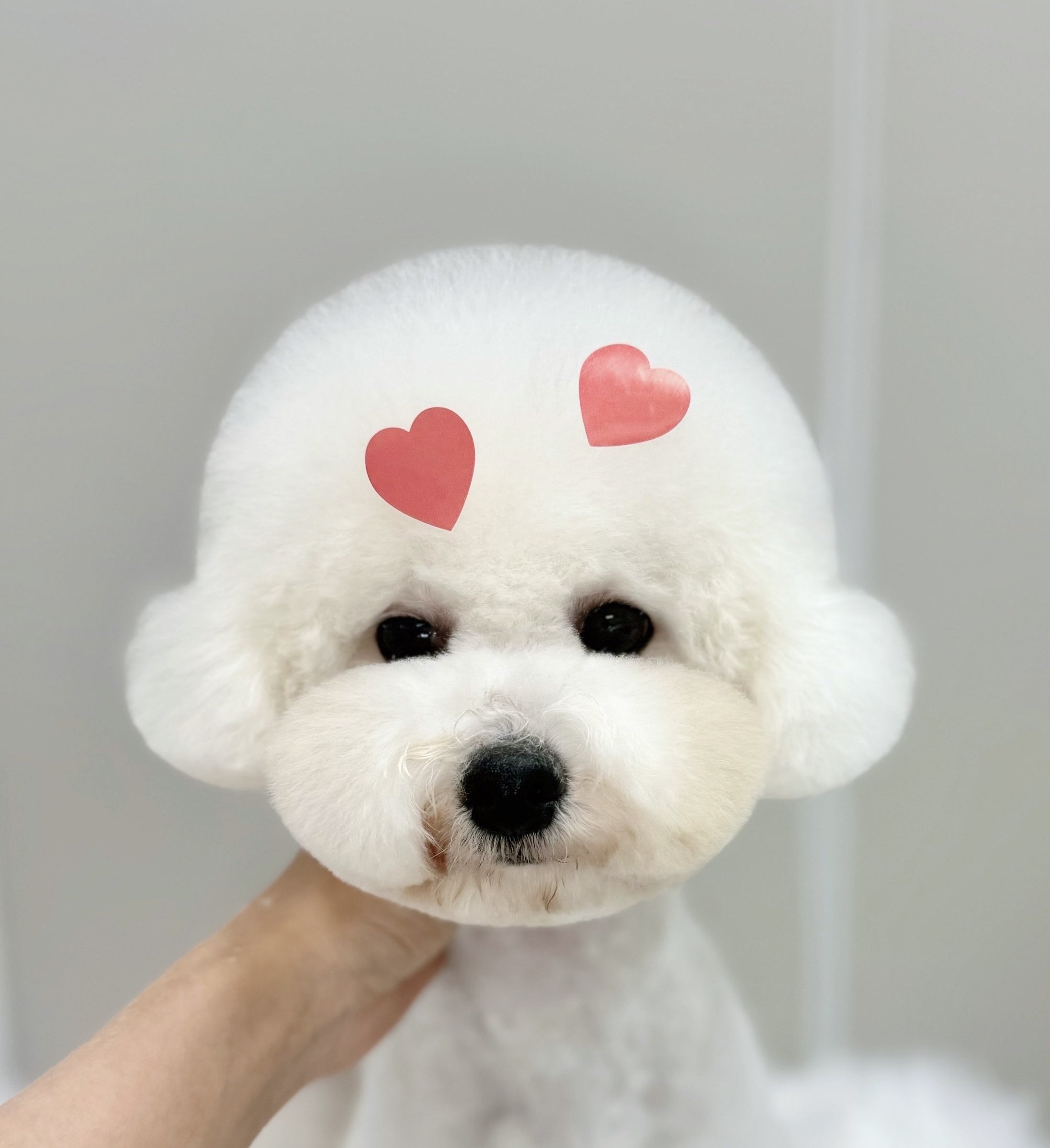 멍키즈