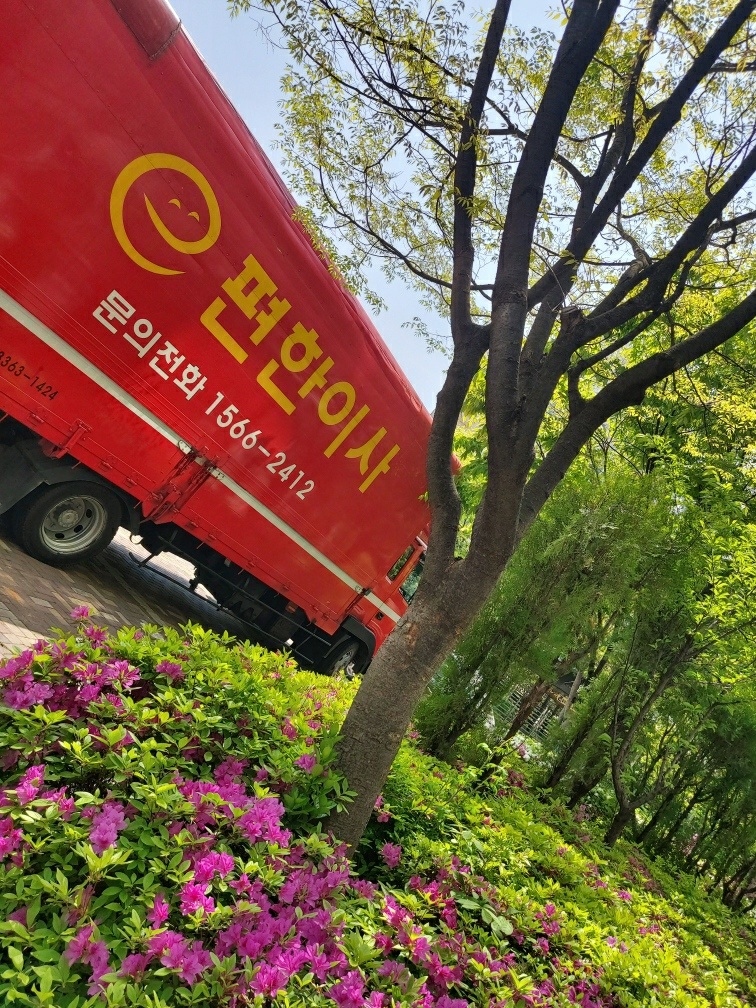 e편한이사 주안점 대표 이미지