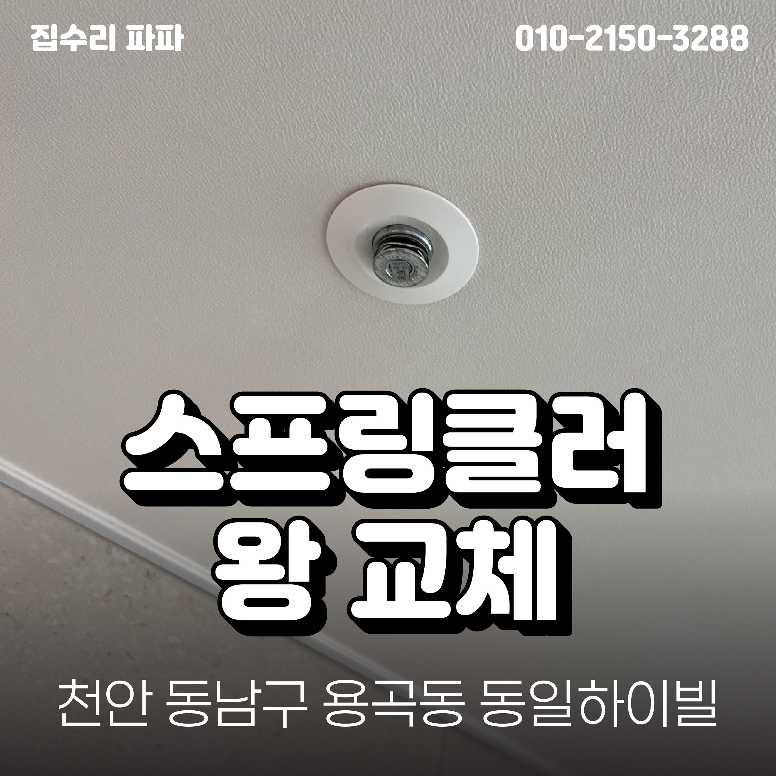 집수리파파