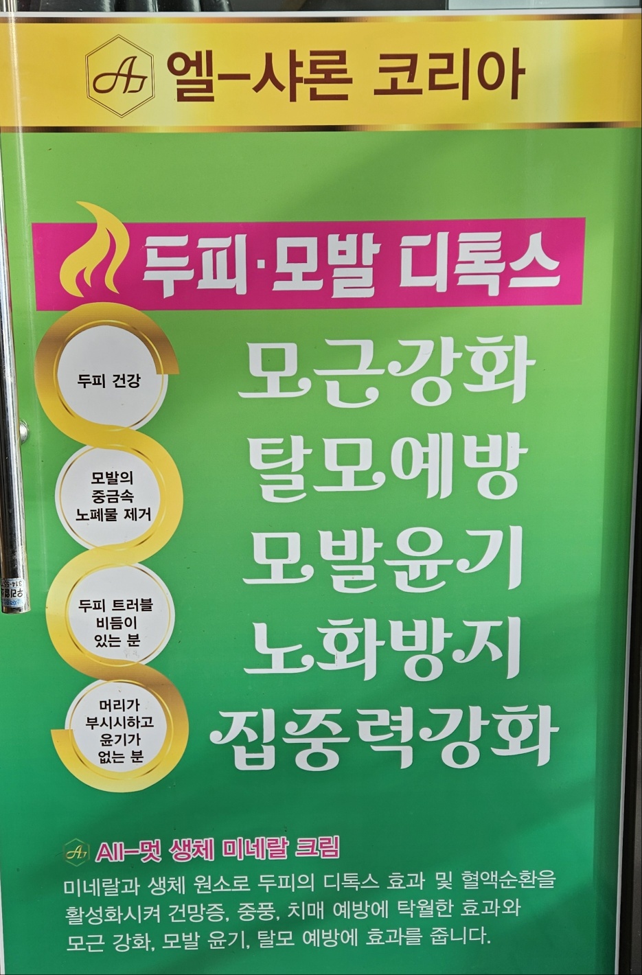 엘샤론코리아