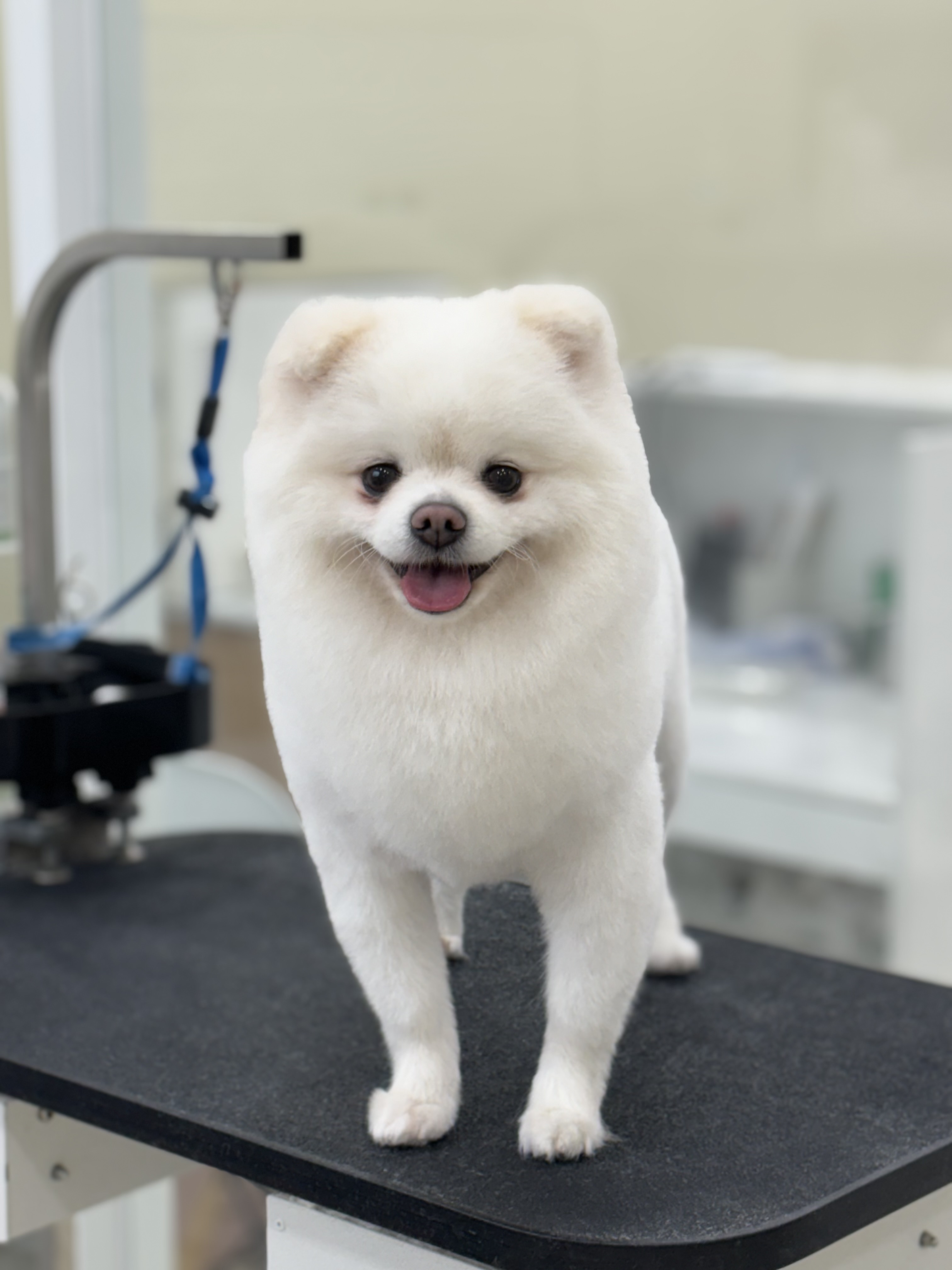 마음이네멍발소 대표 이미지