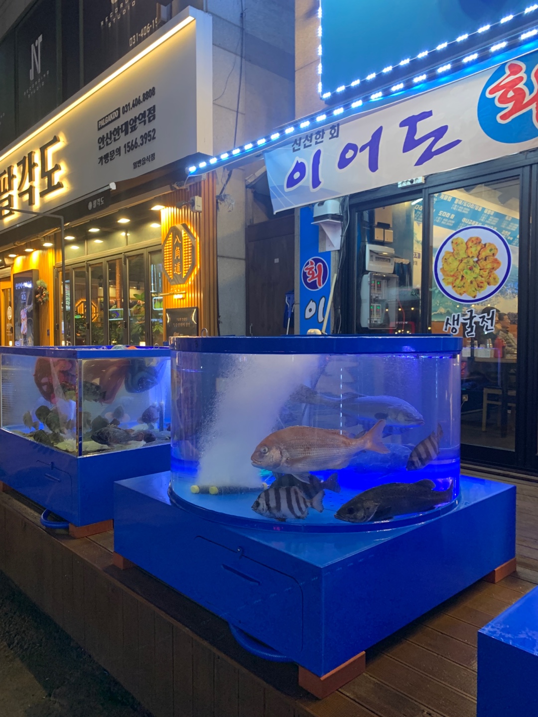 이어도