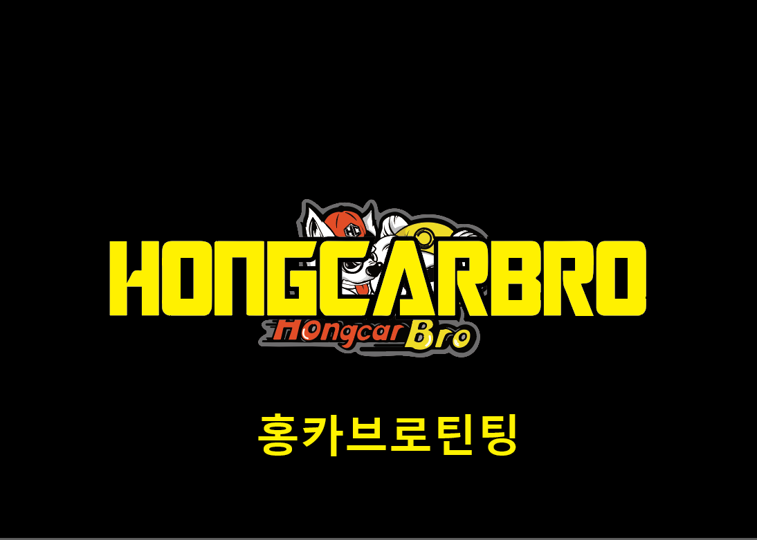 유쉴드 브리스 싸이플렉스 홍카브로틴팅