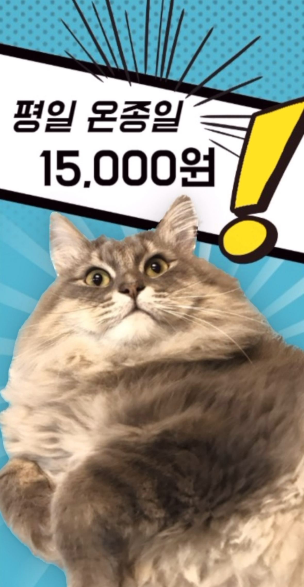 너나들이 만화카페 내부 또는 관련 모습