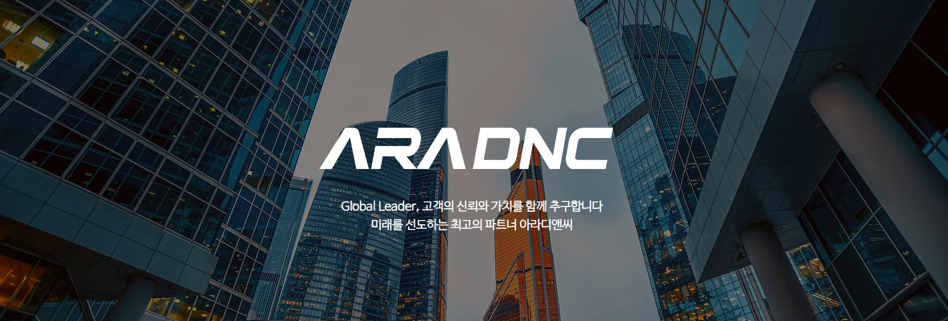 아라디앤씨