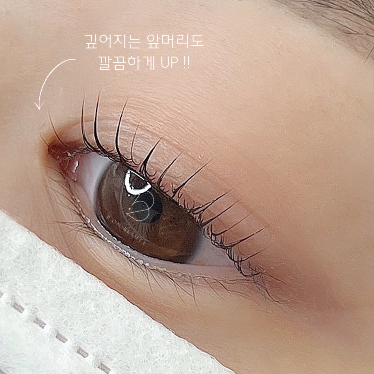 비온뷰티눈썹&속눈썹