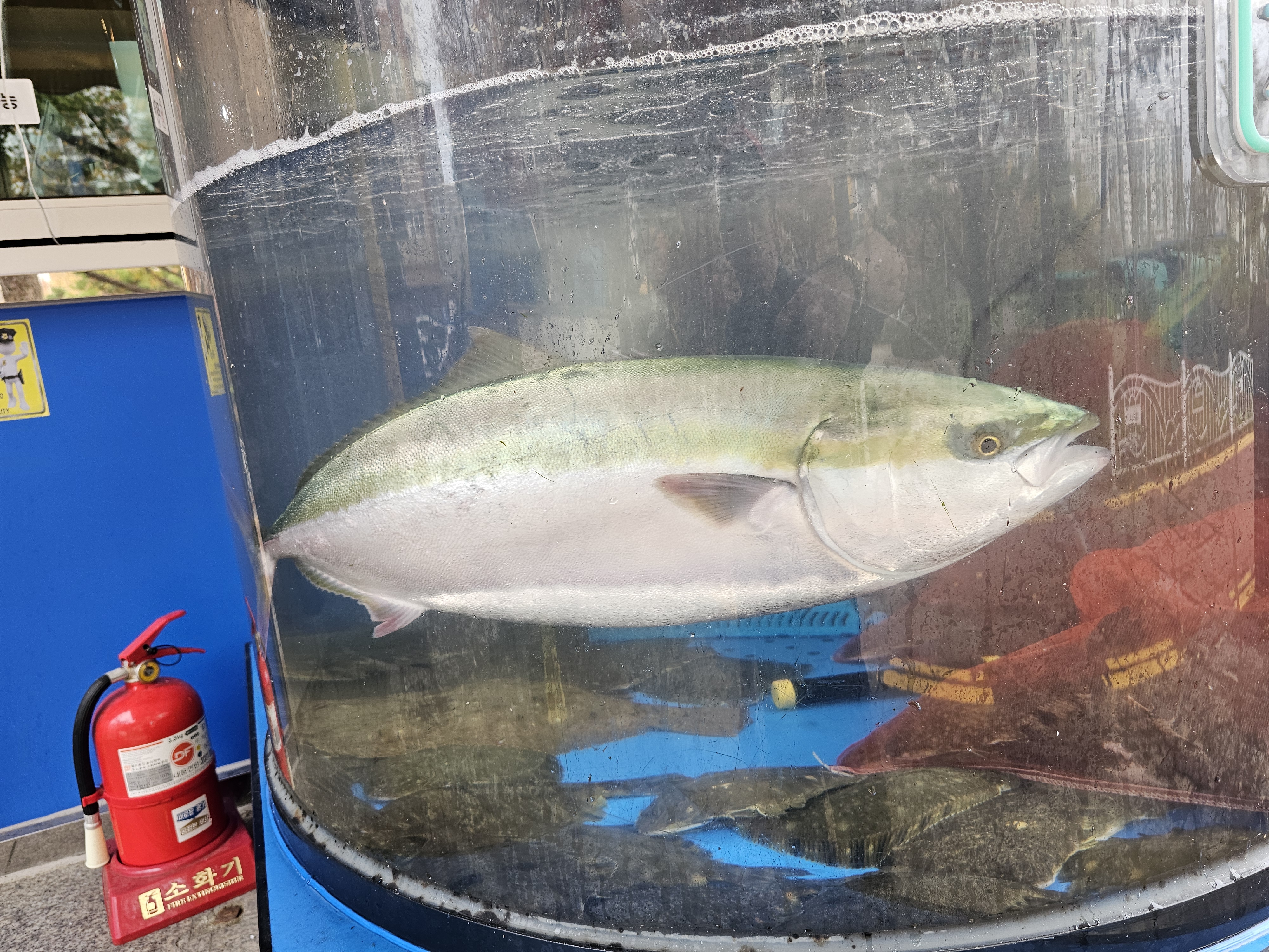 갈곶포차