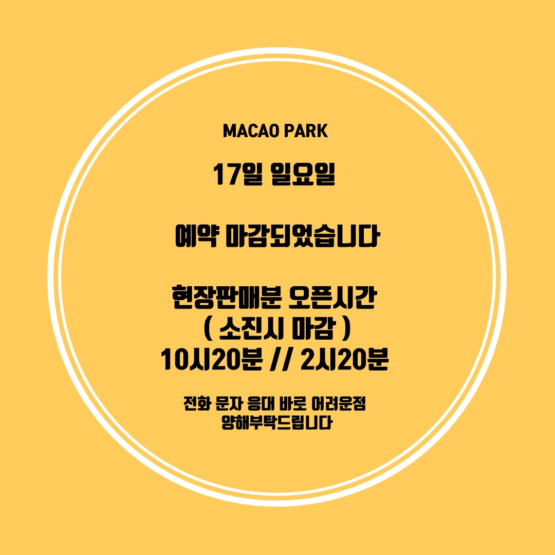 마카오박