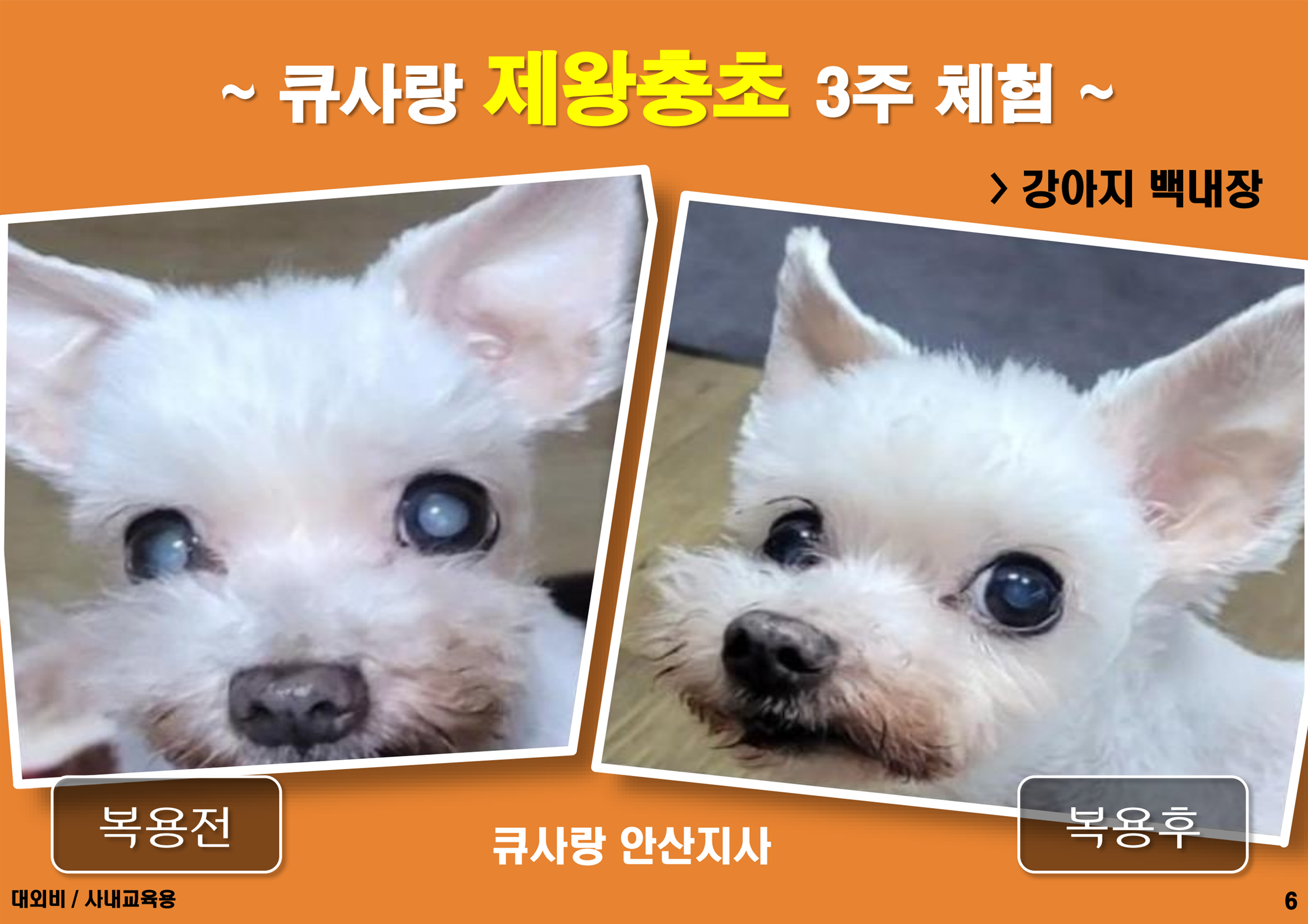 큐사랑 부천한신시장점