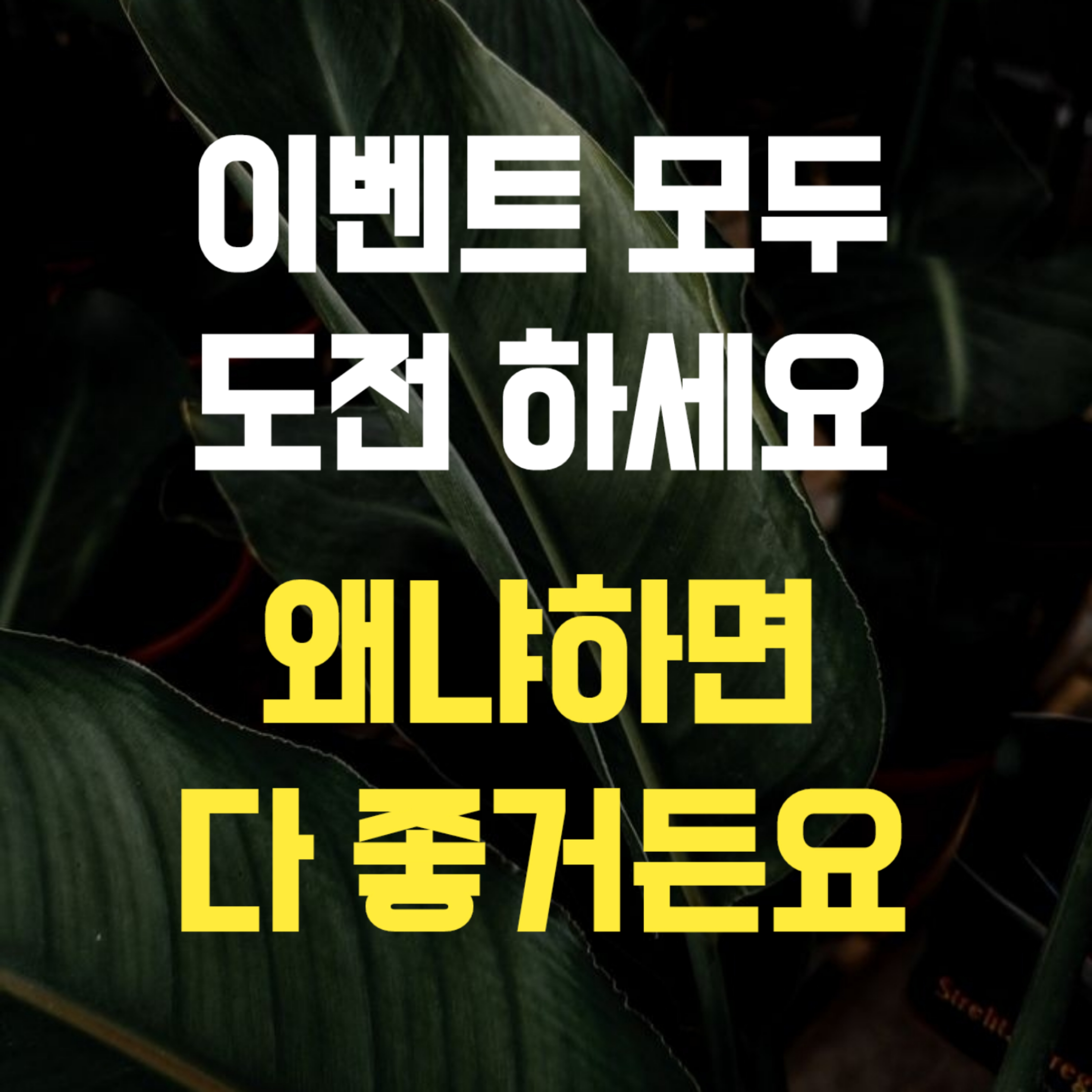 금용