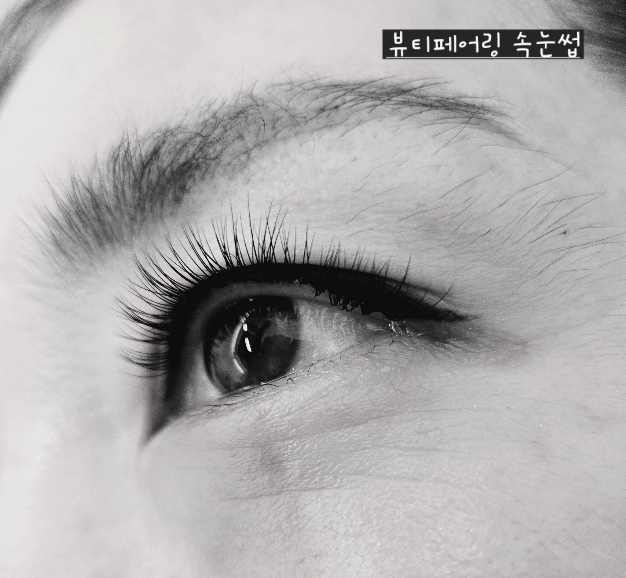 뷰티페어링속눈썹 대표 이미지