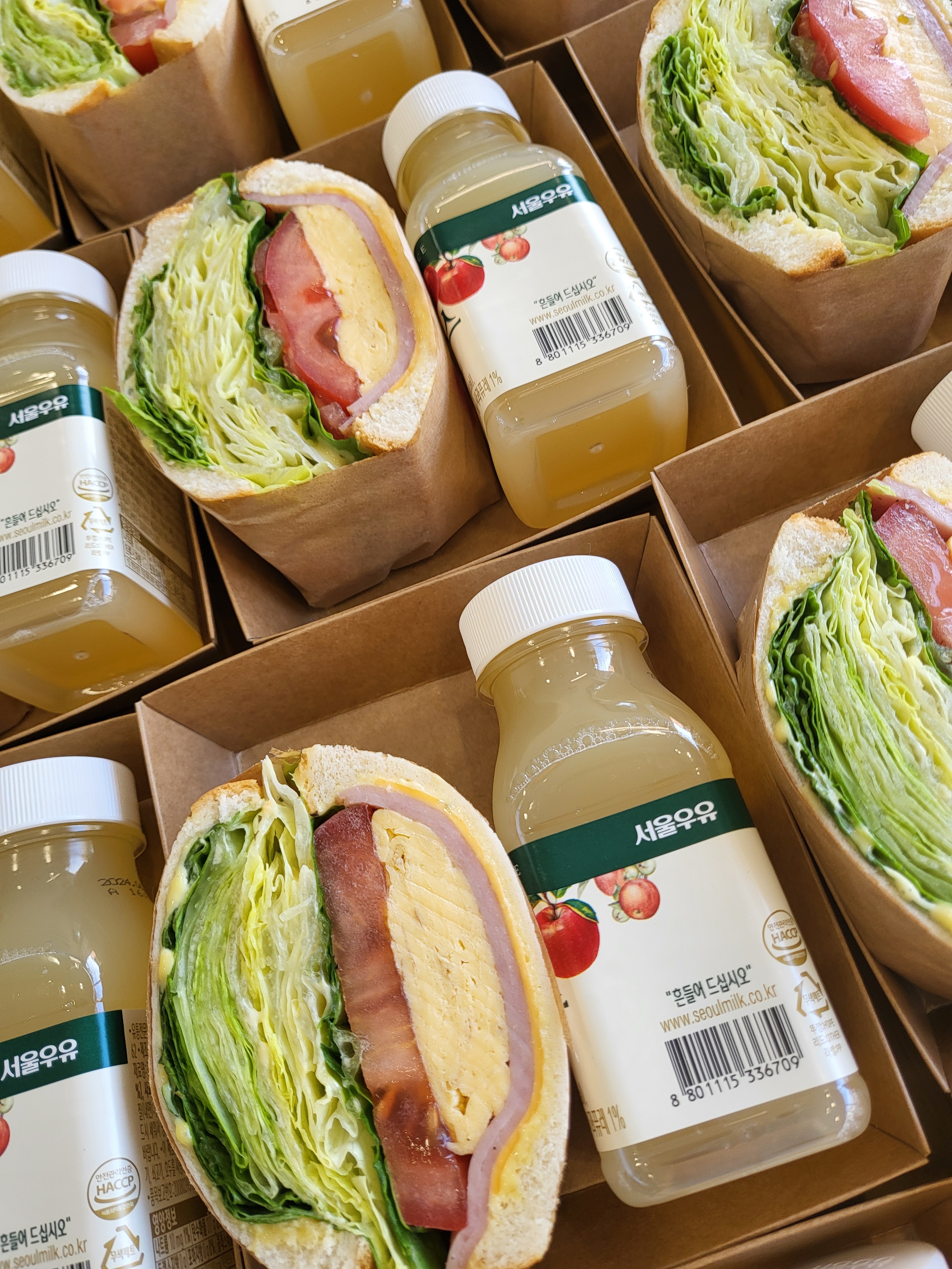 카페포미 전라 애견맛집