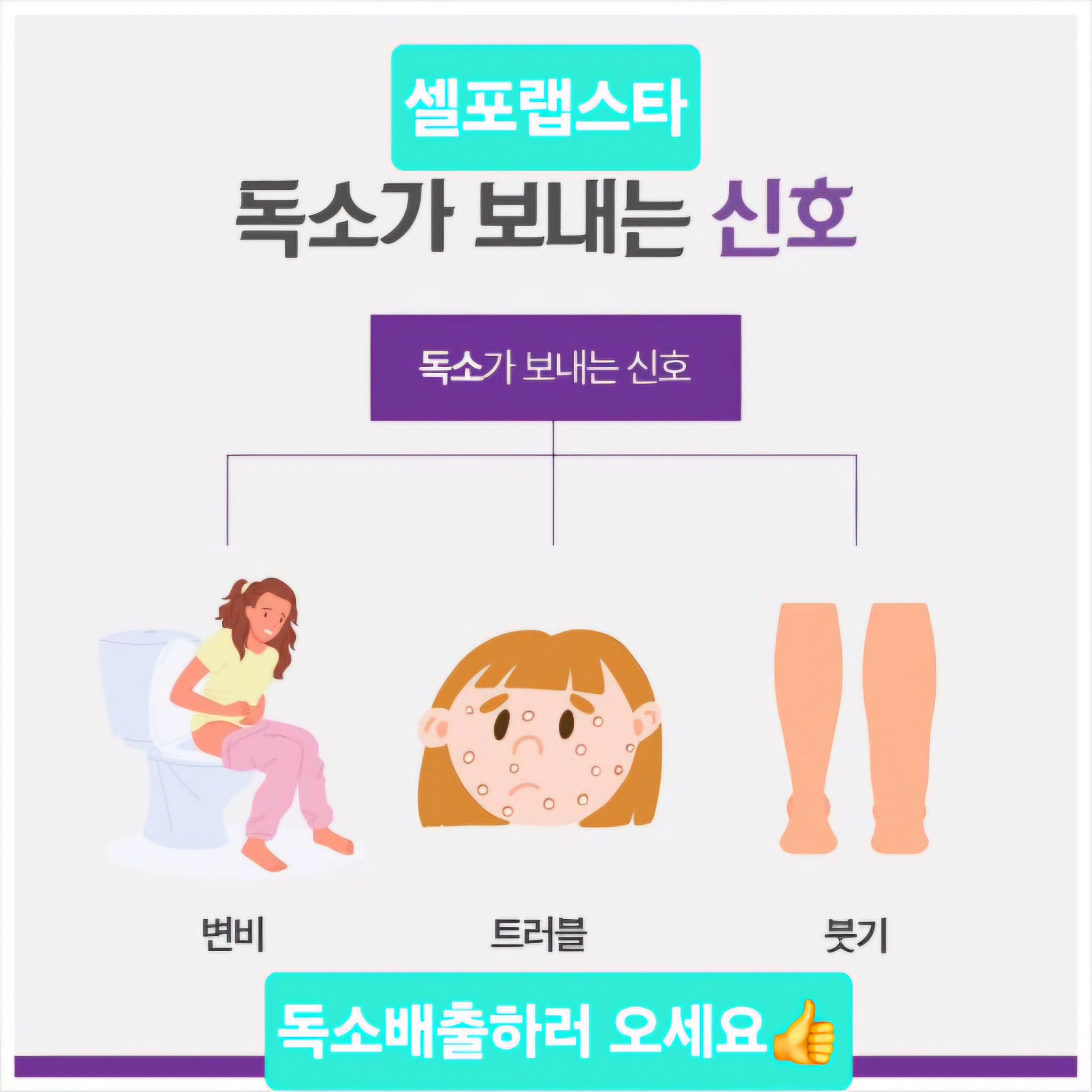 셀포랩 스타