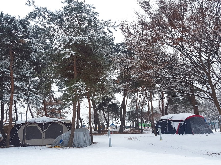 후평숲캠핑장