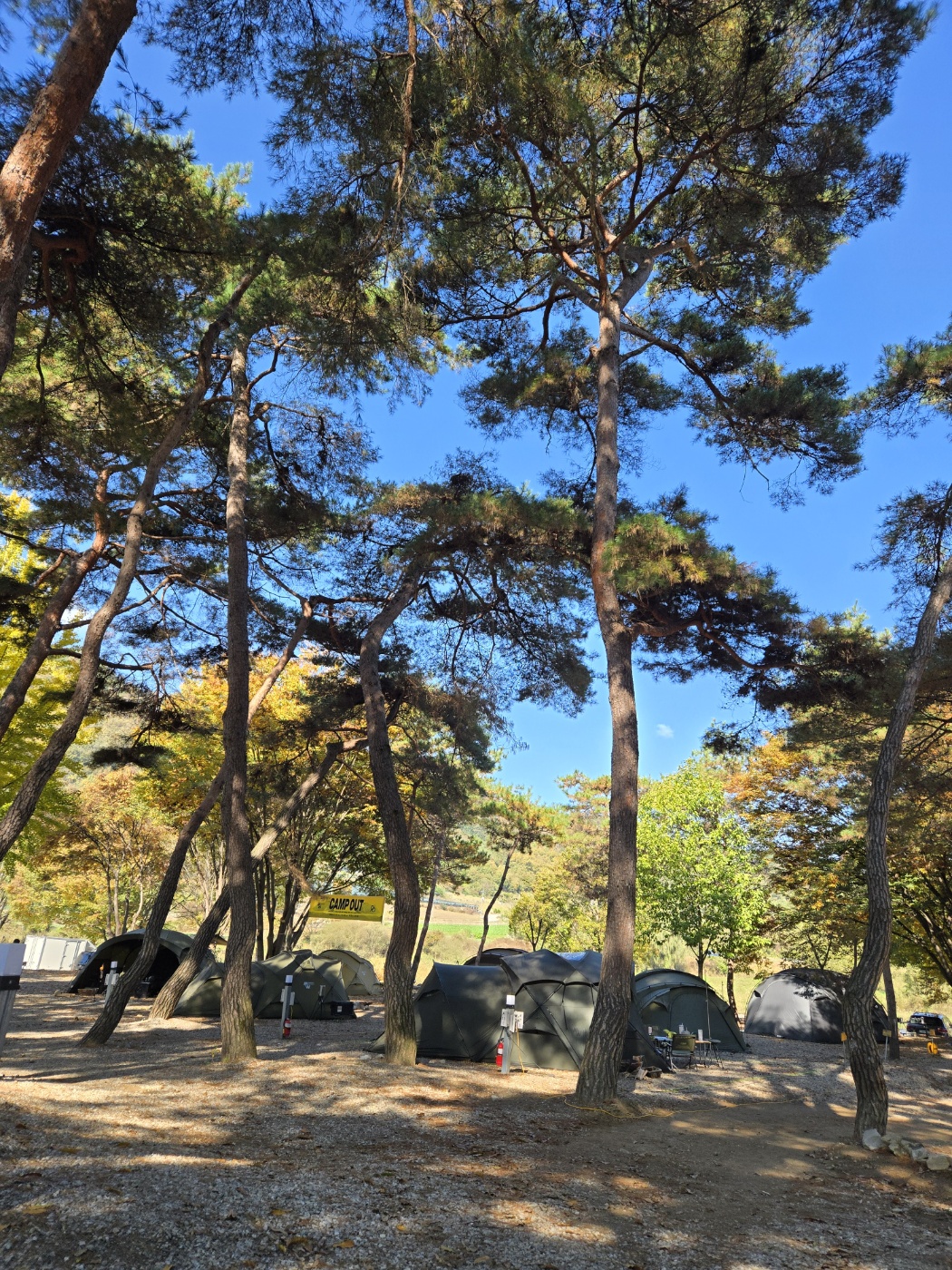 후평숲캠핑장