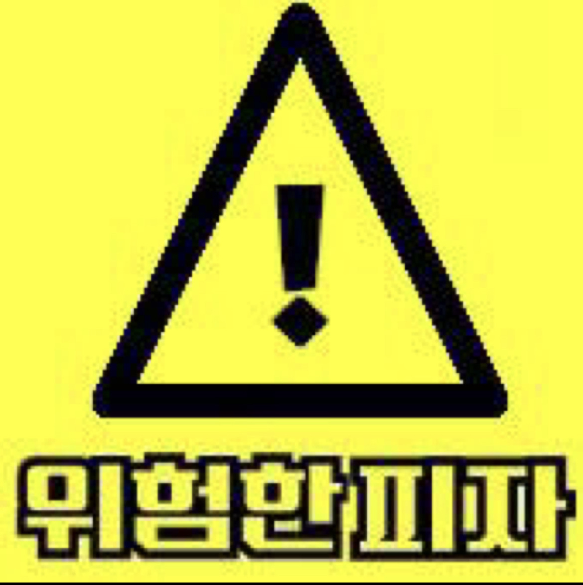 위험한피자 수지구청점