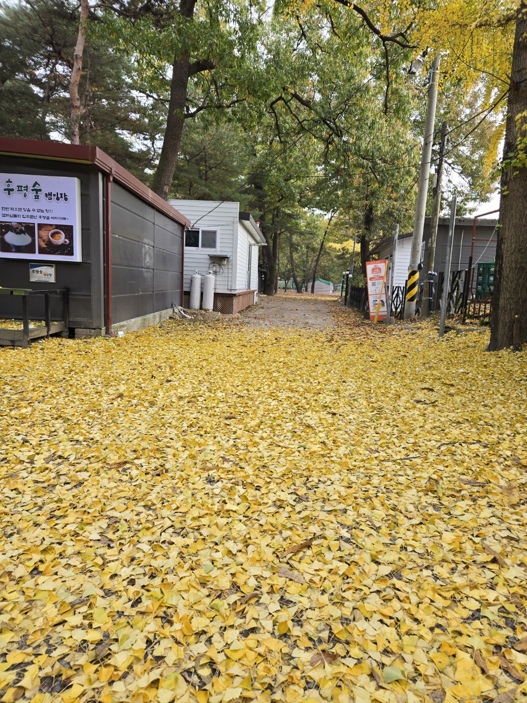후평숲캠핑장