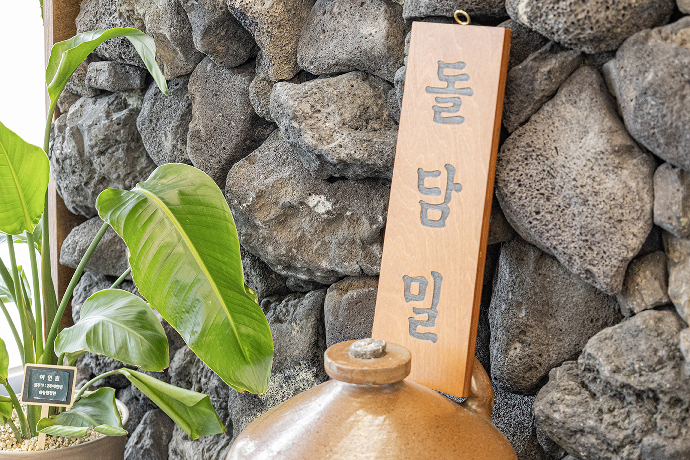 돌담밀 본점