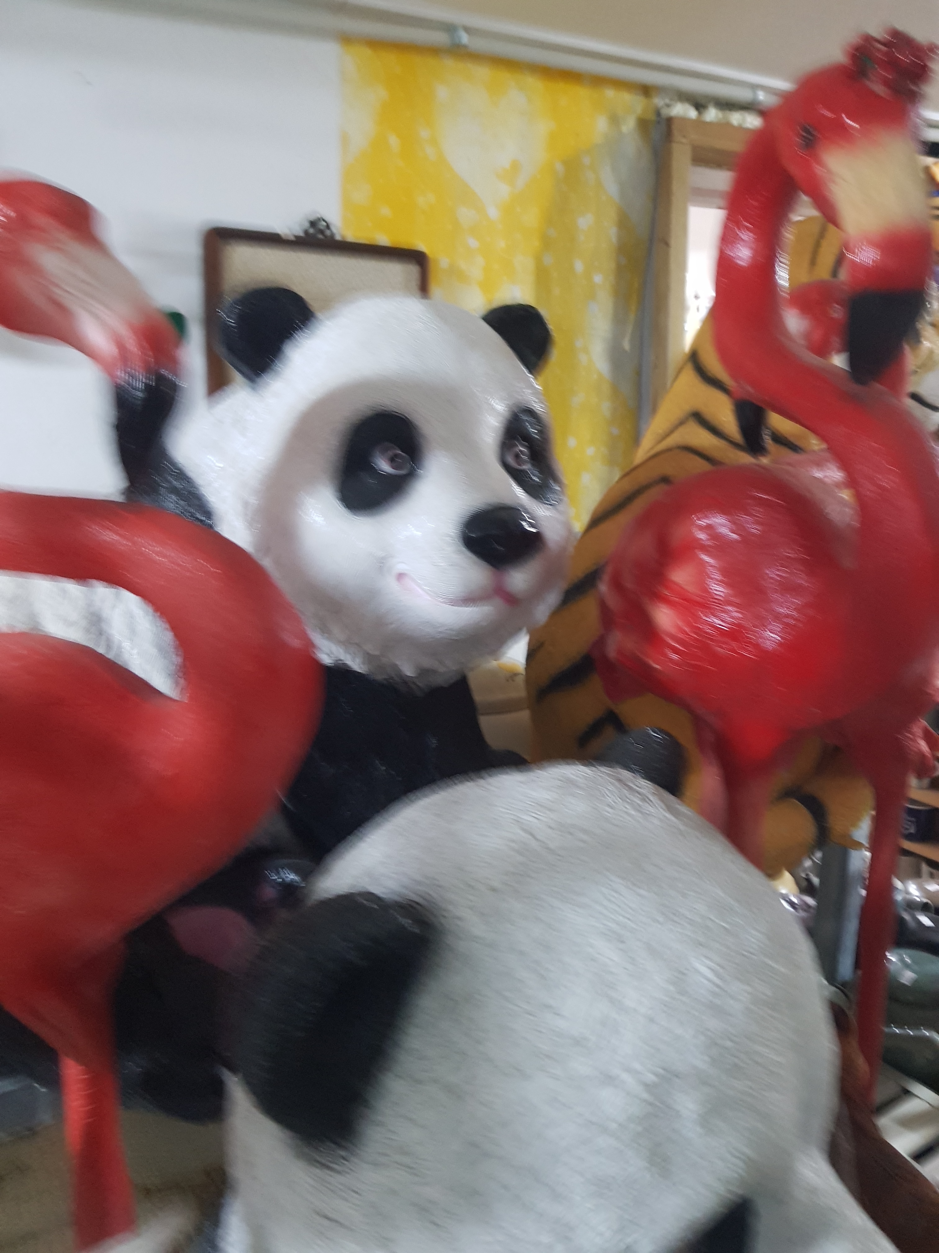 황작소품과디딤석