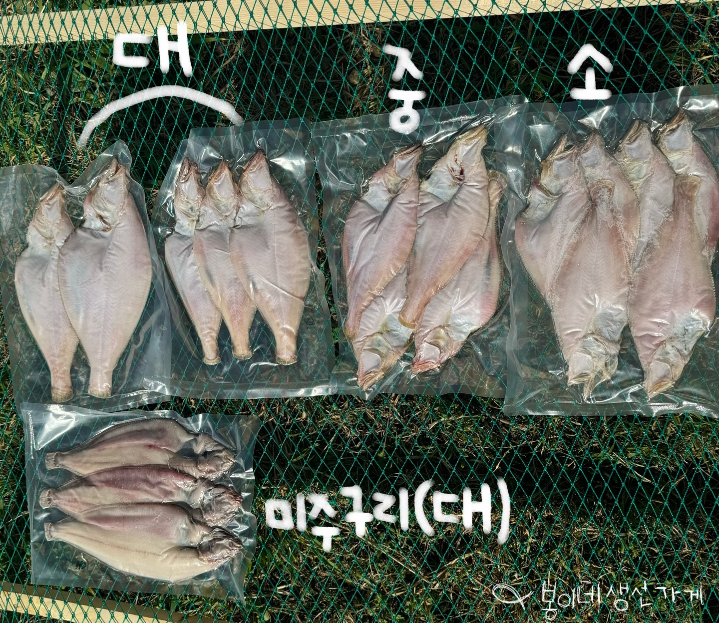 봉이네가자미
