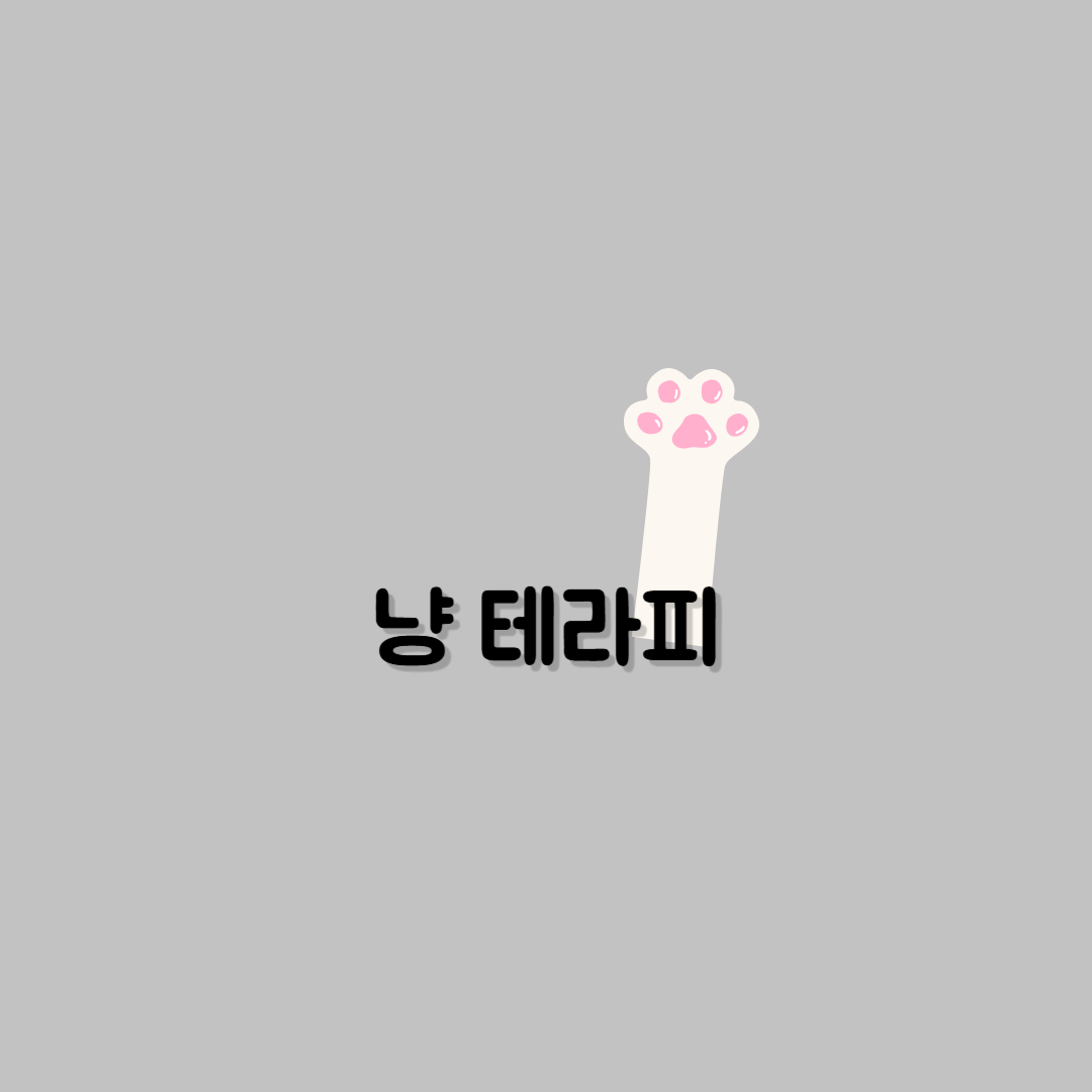 냥테라피 photo 3