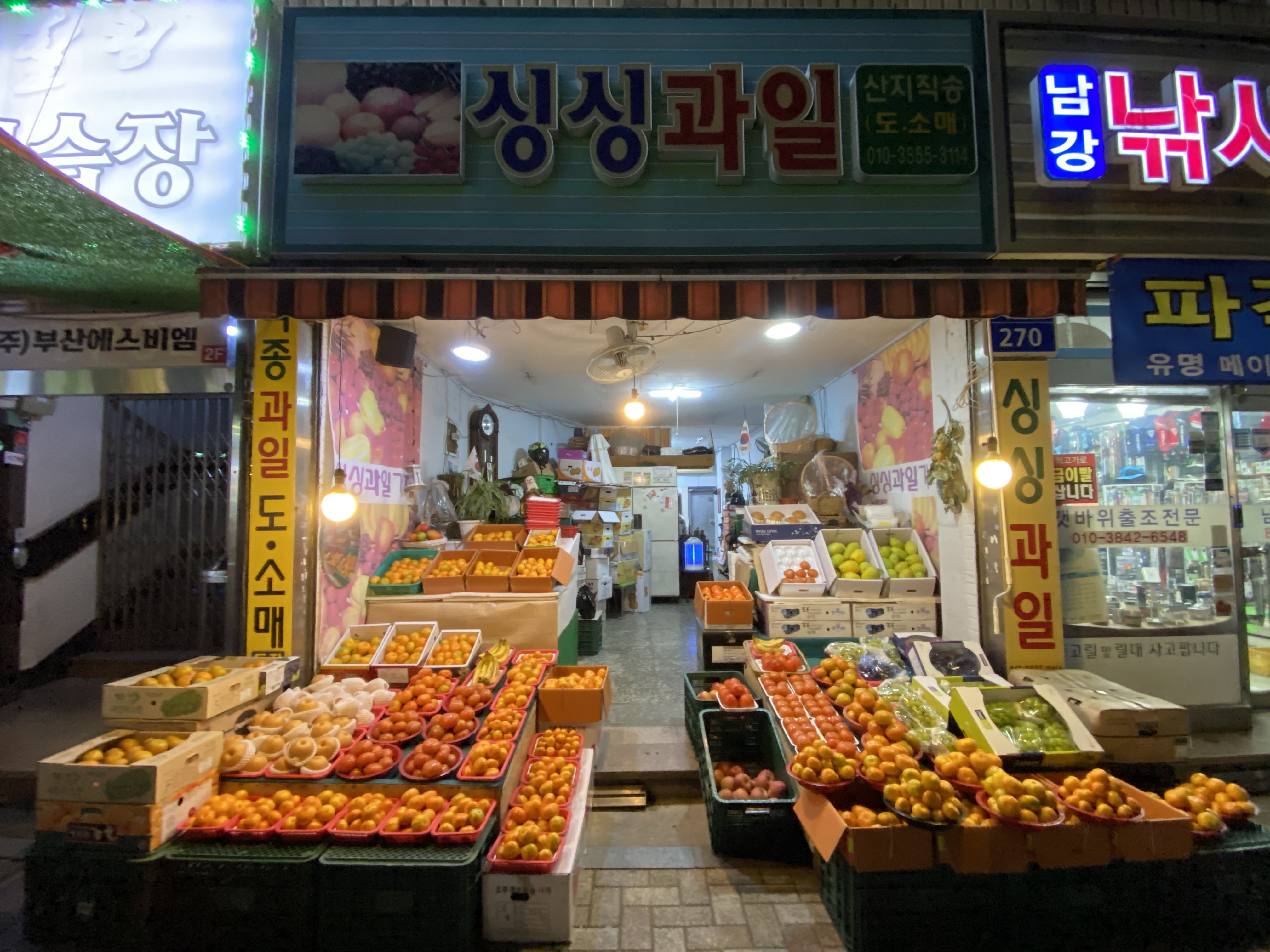 싱싱과일